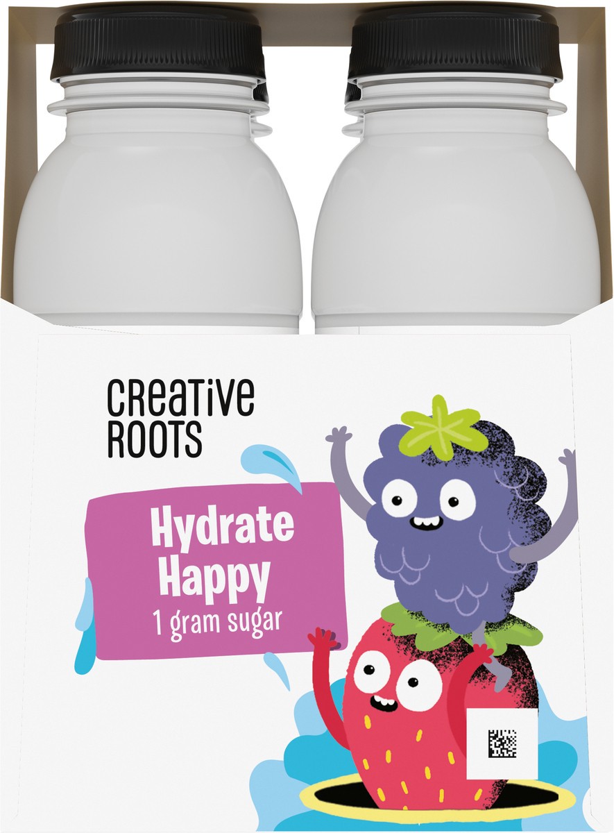 slide 4 of 9, Creative Roots Mixed Berry Naturally Flavored Coconut Water Beverage, 4 ct Pack, 8.5 fl oz Bottles, 4 ct