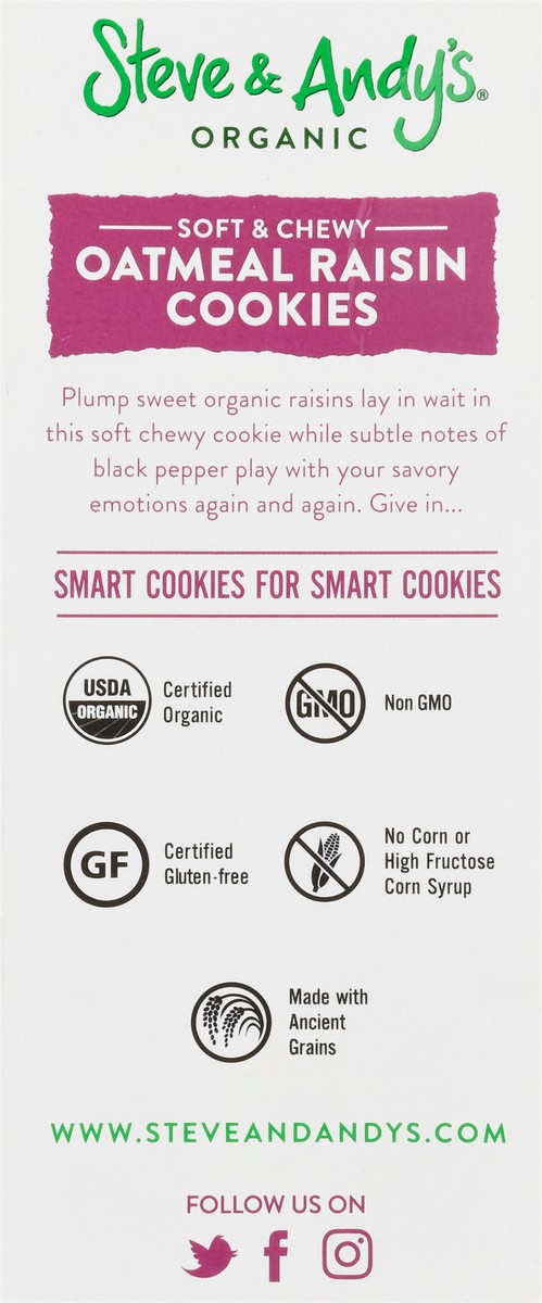 slide 9 of 9, Steve & Andy's Soft & Chewy Organic Oatmeal Raisin Cookies 6.3 oz, 6.3 oz