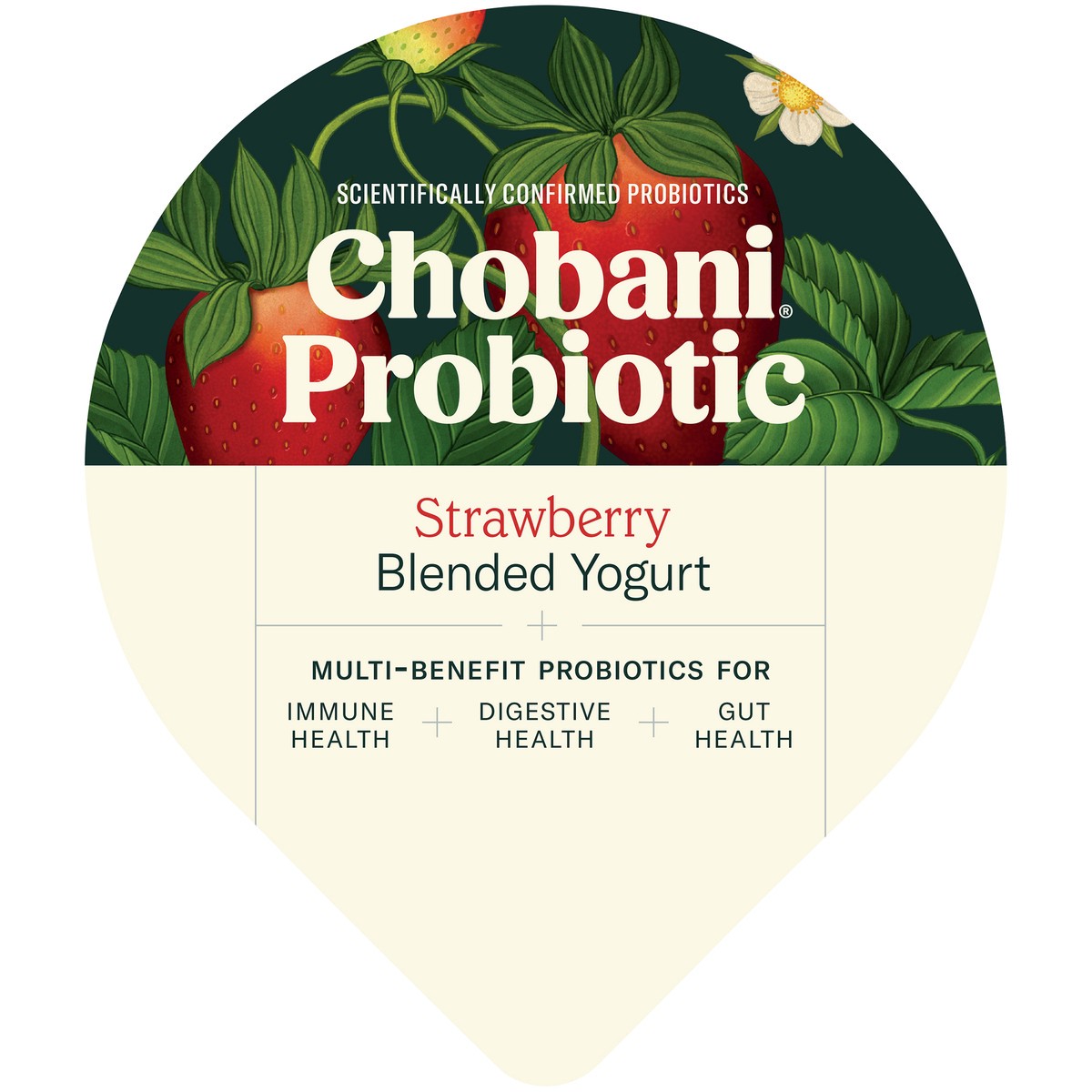 slide 3 of 12, Chobani Strawberry Probiotic Greek Yogurt, 5.3 oz