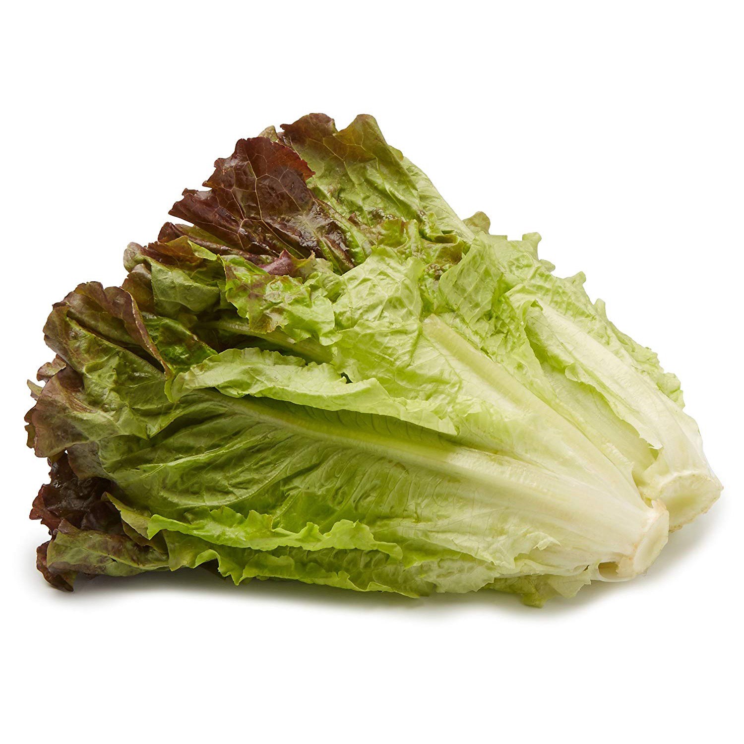 slide 1 of 1, Fresh Organic Lettuce Red Leaf, 1 ct