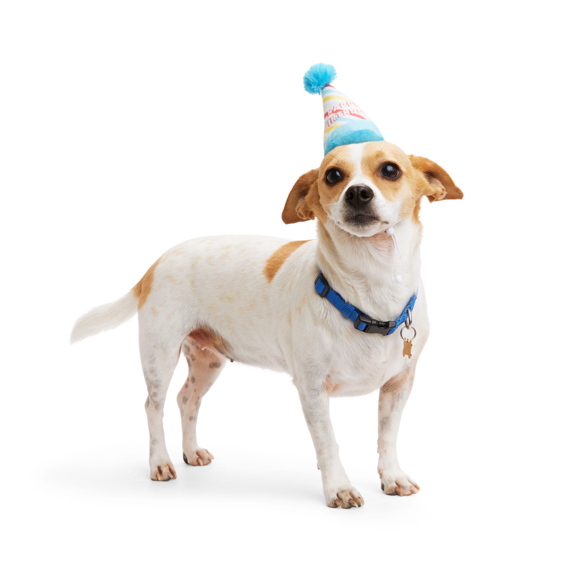 slide 1 of 1, YOULY Birthday Dog Hat, Large/X-Large, LG/XL