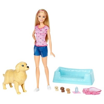 slide 1 of 1, Barbie Newborn Pups And Doll Playset, 1 ct