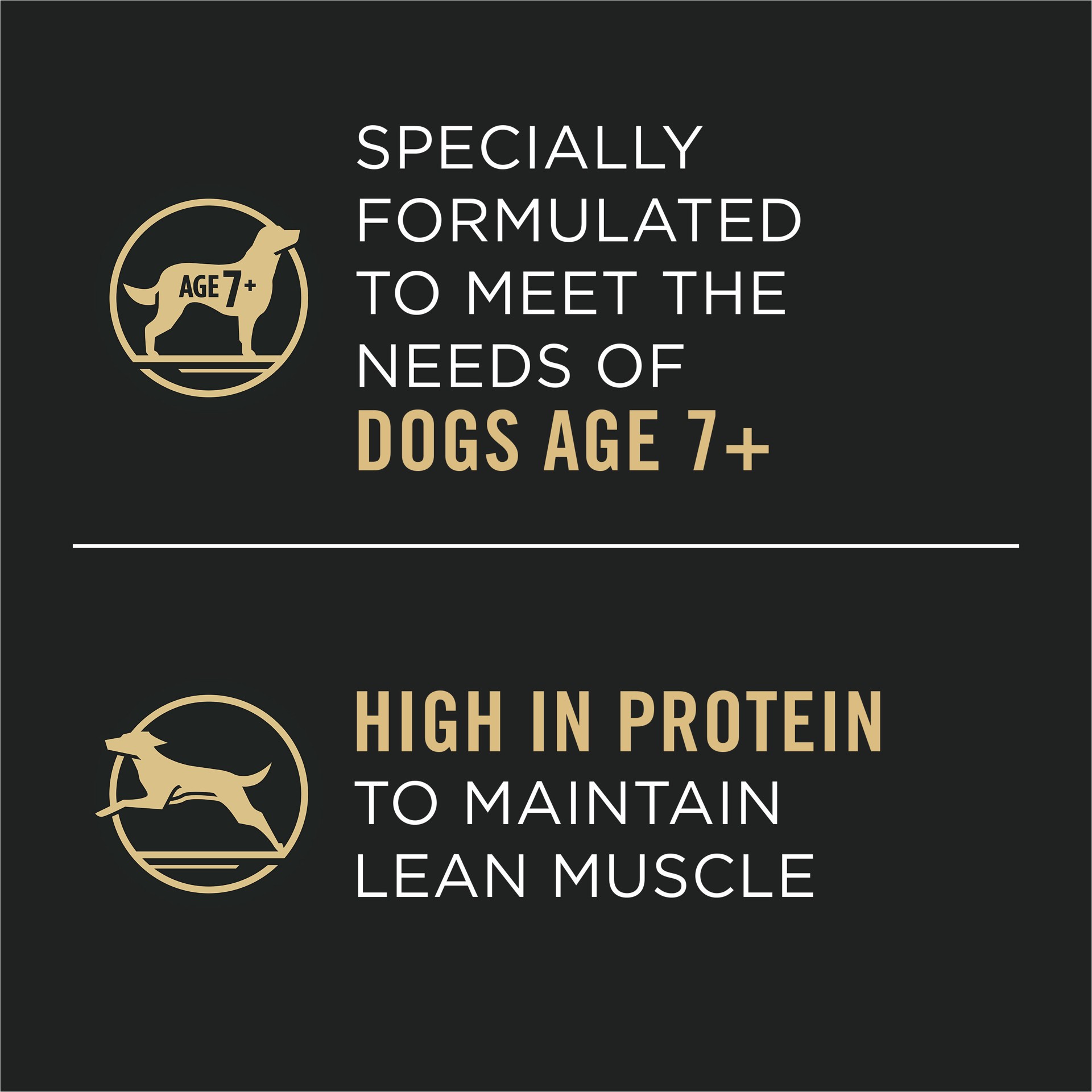 slide 5 of 8, Pro Plan Purina Pro Plan High Protein Senior Wet Dog Food, Beef and Rice Entree, 13 oz