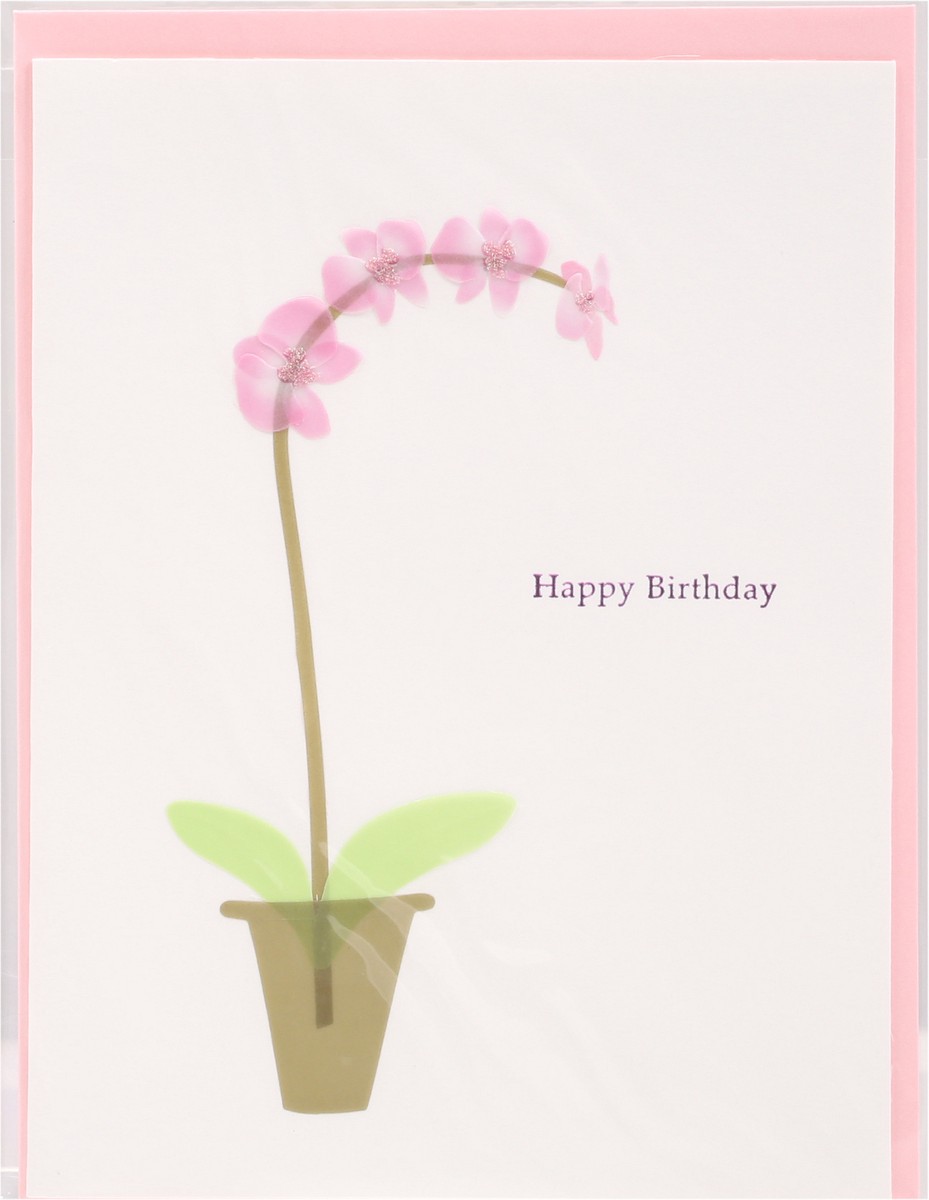 slide 5 of 10, Papyrus Birthday Card (Pink Orchid), 1 ct