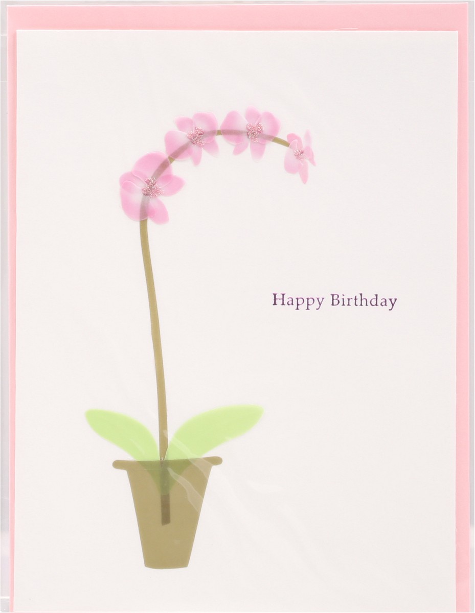 slide 1 of 10, Papyrus Birthday Card (Pink Orchid), 1 ct