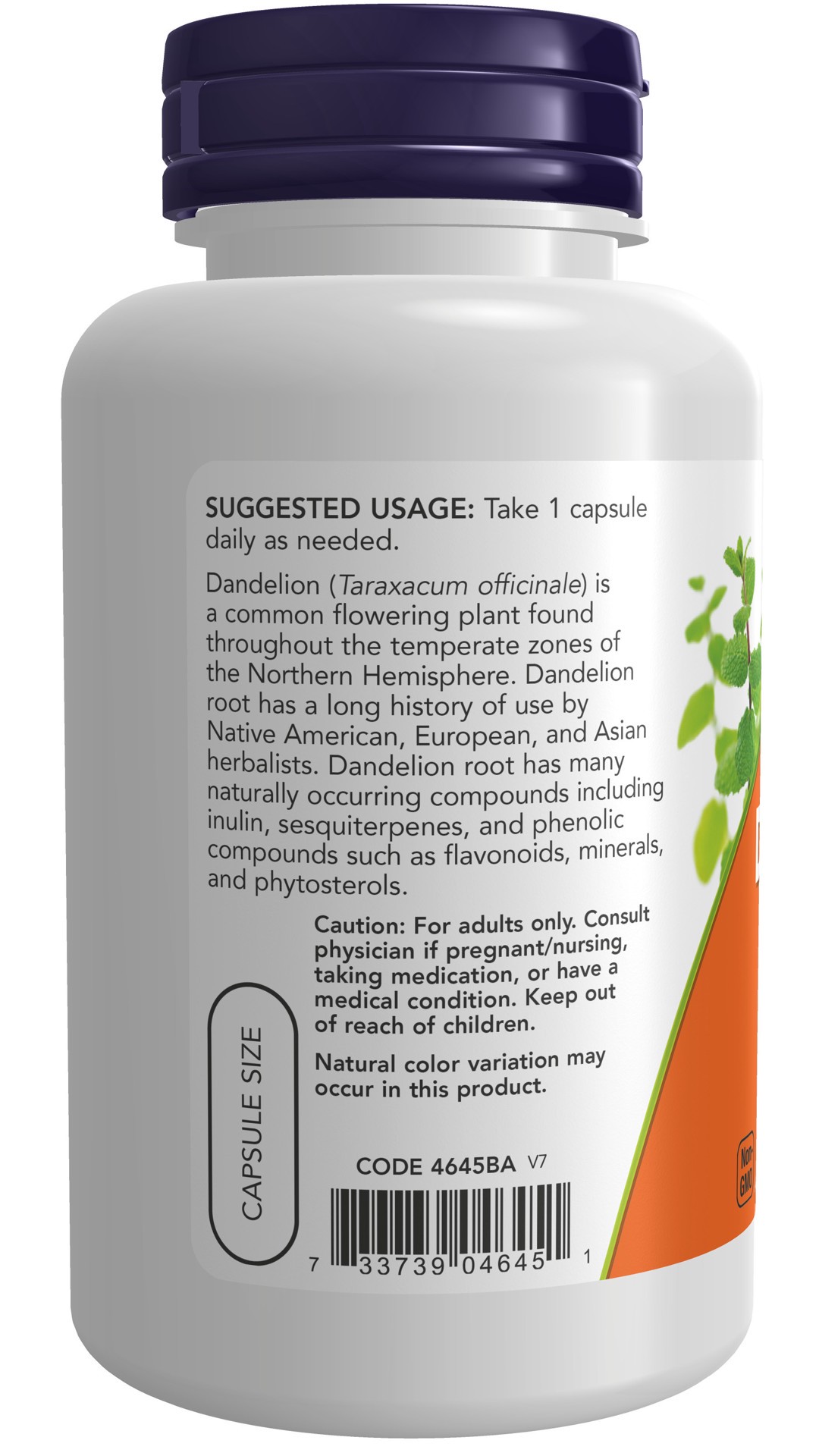 slide 4 of 4, NOW Supplements Dandelion Root 500 mg - 100 Veg Capsules, 100 ct