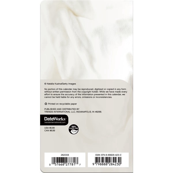 slide 8 of 8, 2026-2027 DateWorks Monthly Pocket Planner, 3-1/2"" x 6-1/2"", Kittens, January 2026 To December 2027, 262008OD, 1 ct