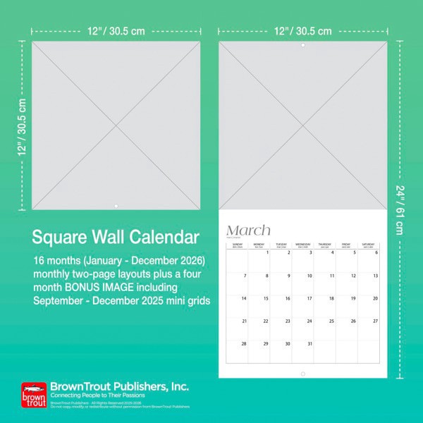 slide 9 of 9, BrownTrout 2026 BrownTrout Astronomy Monthly Plastic-Free Square Wall Calendar, 12"" x 12"", Science and Nature, January to December 2026, 9798330702169, 1 ct
