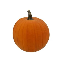 Medium Pumpkins