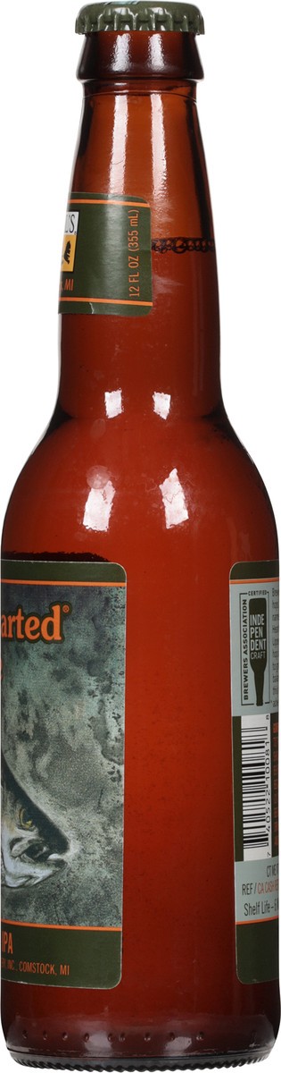 slide 3 of 9, Bell's Two Hearted IPA, 12 fl oz