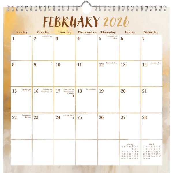 slide 3 of 5, 2026 DateWorks Spiral Wall Calendar, 12"" x 12"", Abstract Pastel, January To December, 269014OD, 1 ct