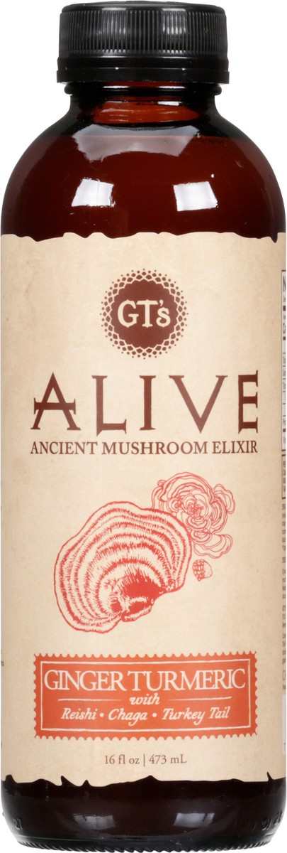 slide 6 of 14, GT's Gt's Living Food Alive Guayusa Turmeric Sparkling Probiotic Cider - 16.2 fl oz, 16.2 fl oz