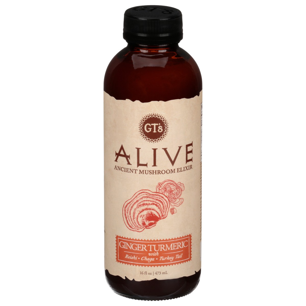 slide 2 of 14, GT's Gt's Living Food Alive Guayusa Turmeric Sparkling Probiotic Cider - 16.2 fl oz, 16.2 fl oz