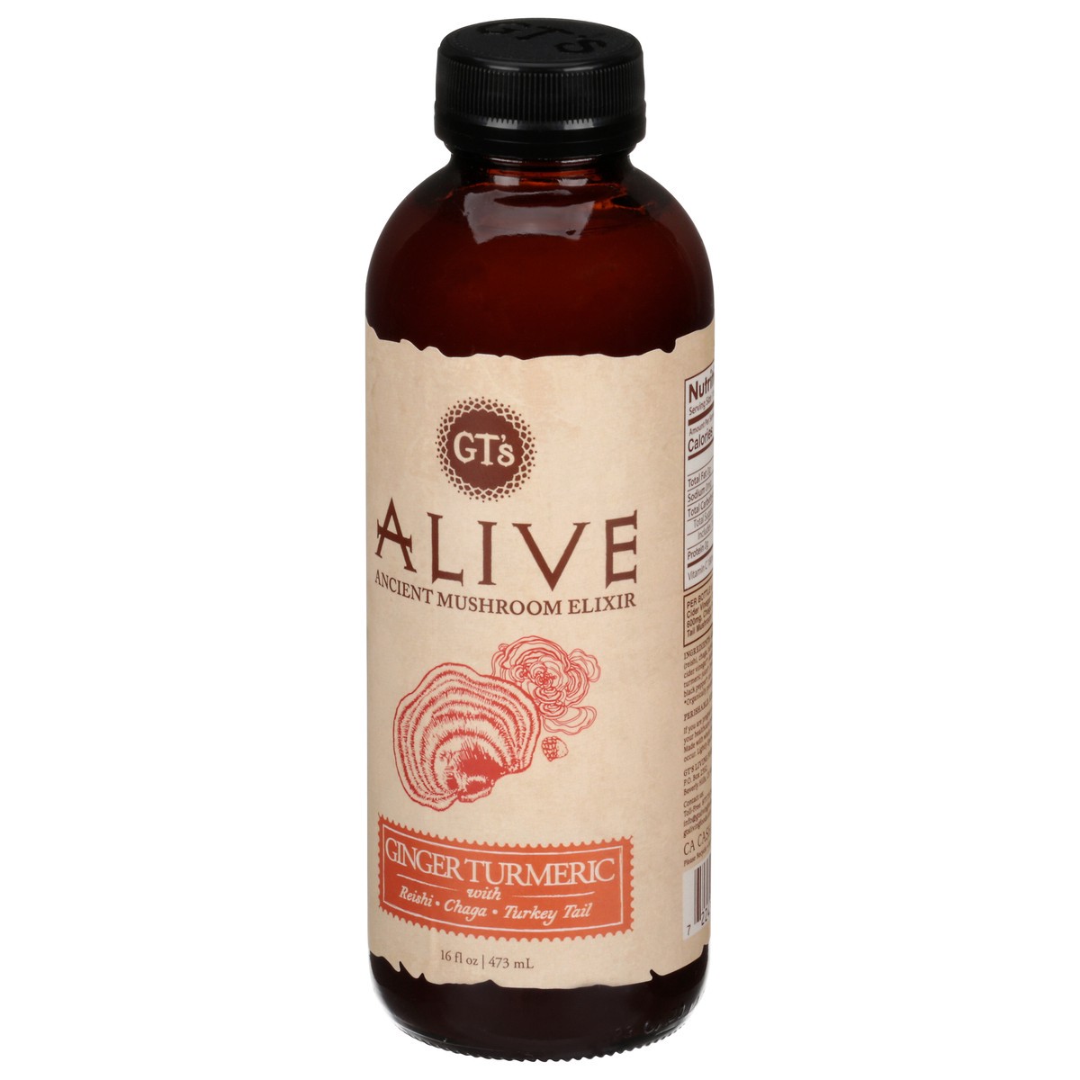 slide 11 of 14, GT's Gt's Living Food Alive Guayusa Turmeric Sparkling Probiotic Cider - 16.2 fl oz, 16.2 fl oz