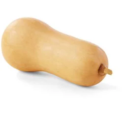 Butternut Squash, Each