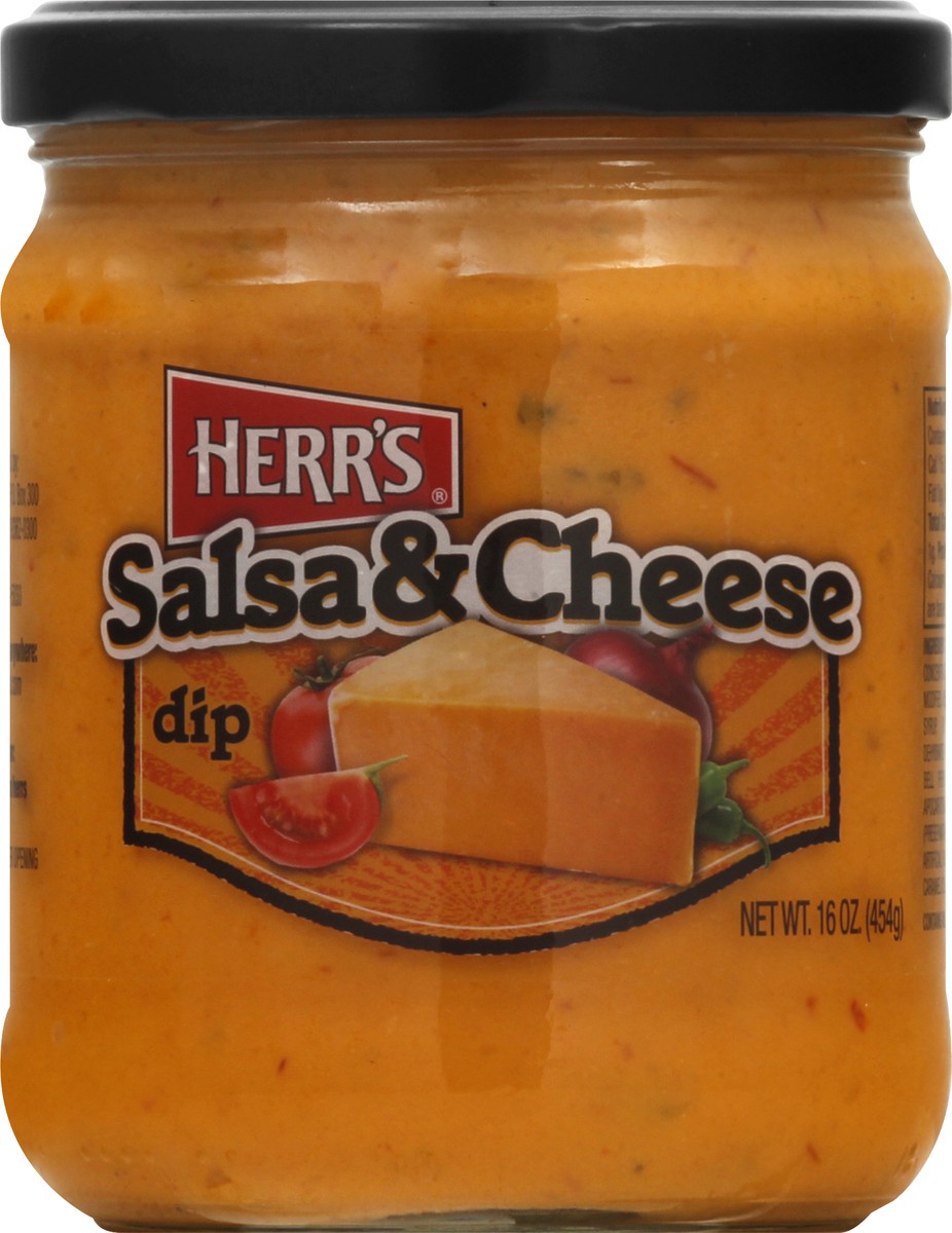 slide 1 of 13, Herr's Salsa & Cheese Dip 16 oz, 16 oz