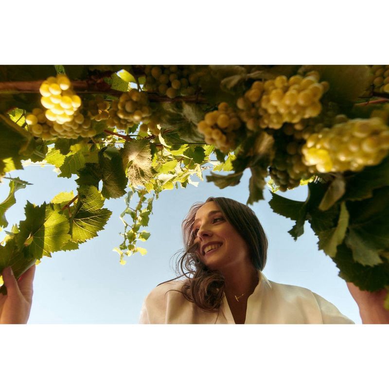 slide 2 of 5, Chandon Sparkling Chandon Blanc de Blancs Reserve by the Bay Carneros W/ Gift Box, 750 ml