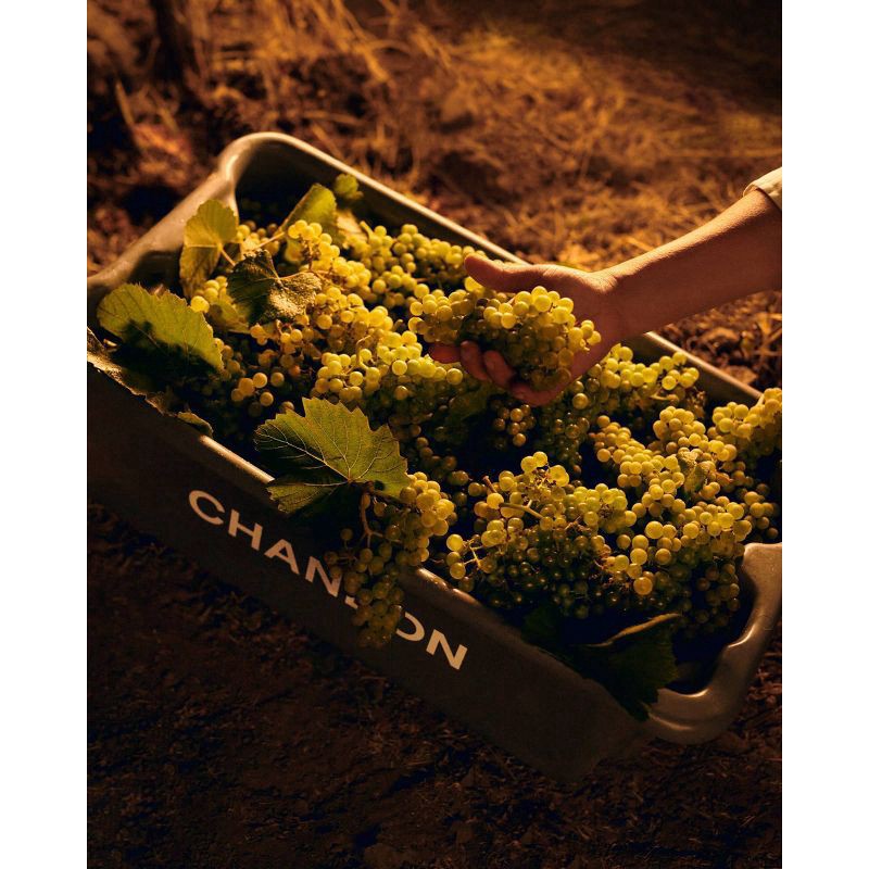 slide 3 of 5, Chandon Sparkling Chandon Blanc de Blancs Reserve by the Bay Carneros W/ Gift Box, 750 ml