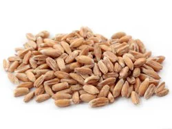 Organic Spelt Berries