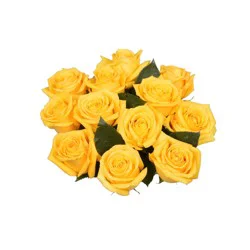 Bloom Haus Dozen Rose Bunch - Yellow
