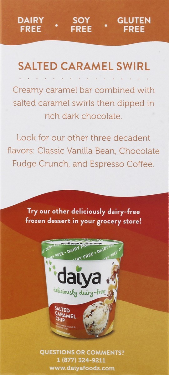 slide 2 of 9, Daiya Dairy Free Salted Caramel Swirl Non-Dairy Frozen Dessert Bar - 10 oz, 10 oz
