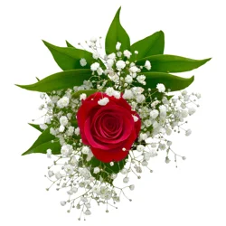 Single Majestic Rose Bouquet