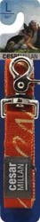 Cesar Millan Lg Leash Navel 1 X 60 In