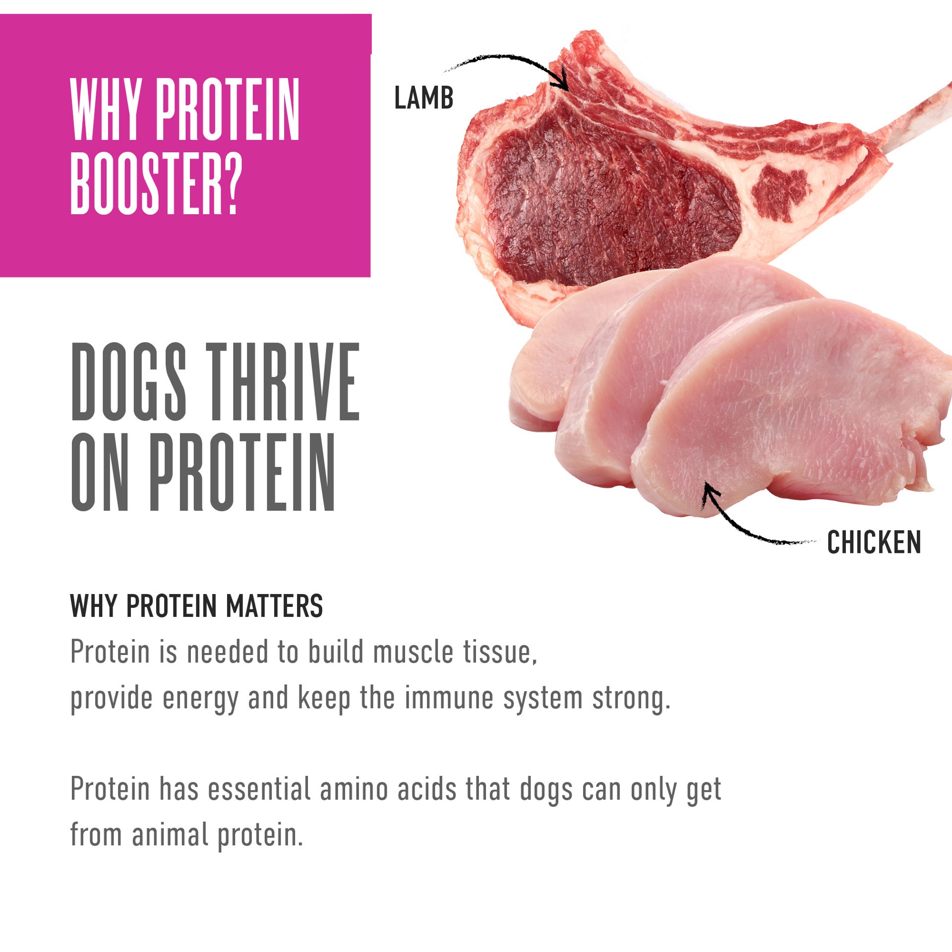 slide 3 of 7, Tiki Dog Born Carnivore Protein Booster Topper, Chicken and Lamb Recipe in Broth Dog Food Topper, 2.1 oz., 1 ct