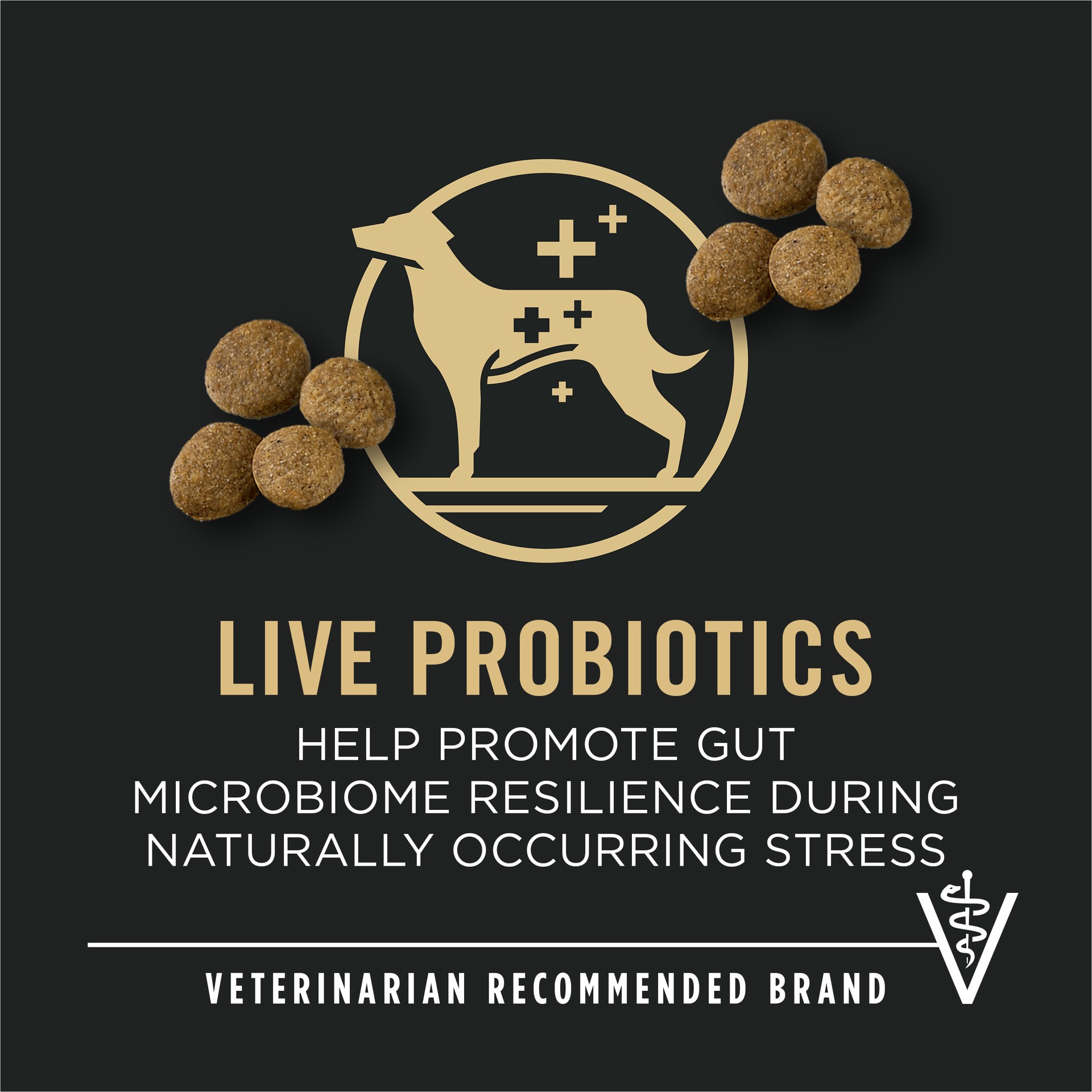 slide 7 of 9, Purina Pro Plan Specialized Beef and Rice Formula Large Breed Dry High Protein Food With Probiotics for Dogs, 18 lbs., 1 ct