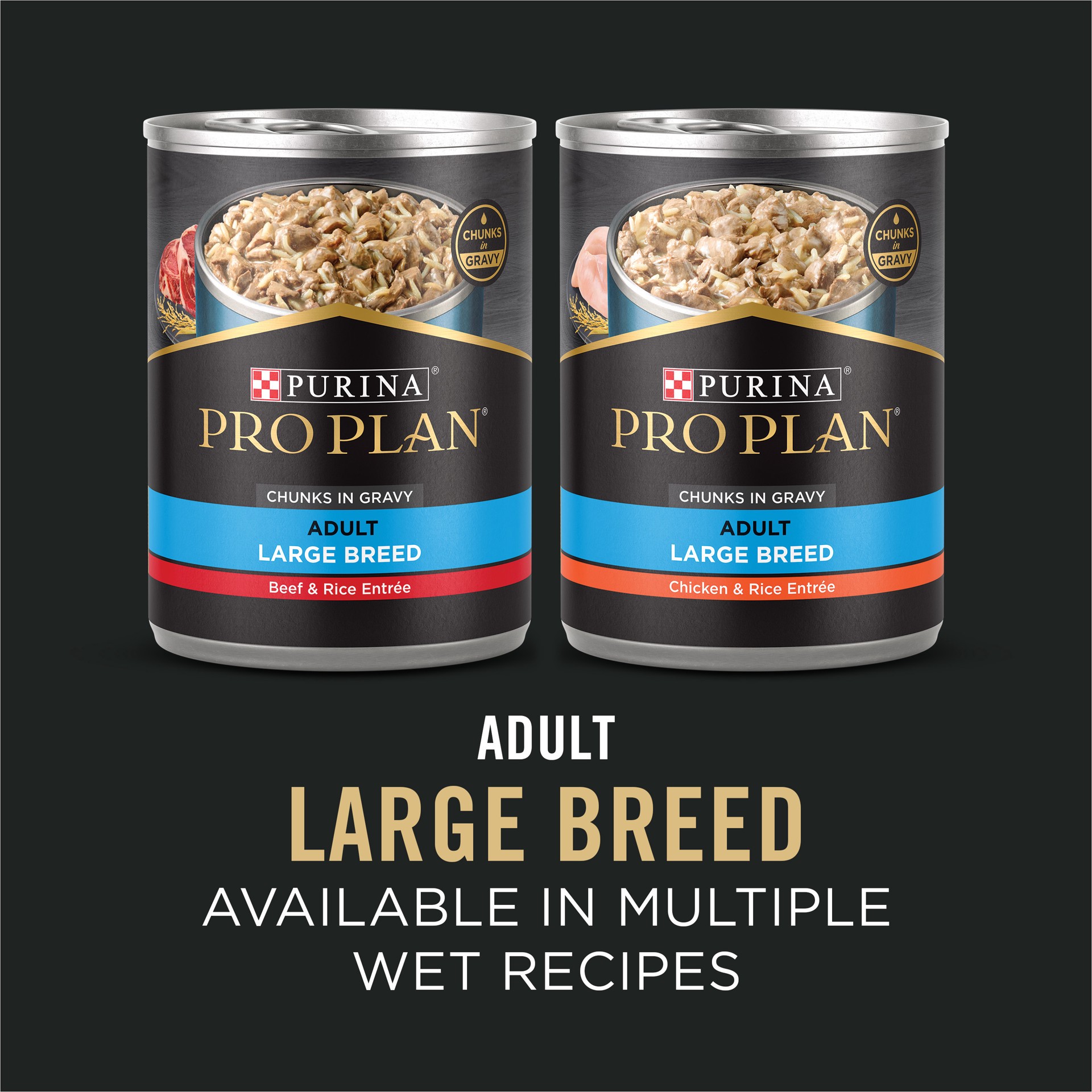 slide 4 of 9, Purina Pro Plan Specialized Beef and Rice Formula Large Breed Dry High Protein Food With Probiotics for Dogs, 18 lbs., 1 ct