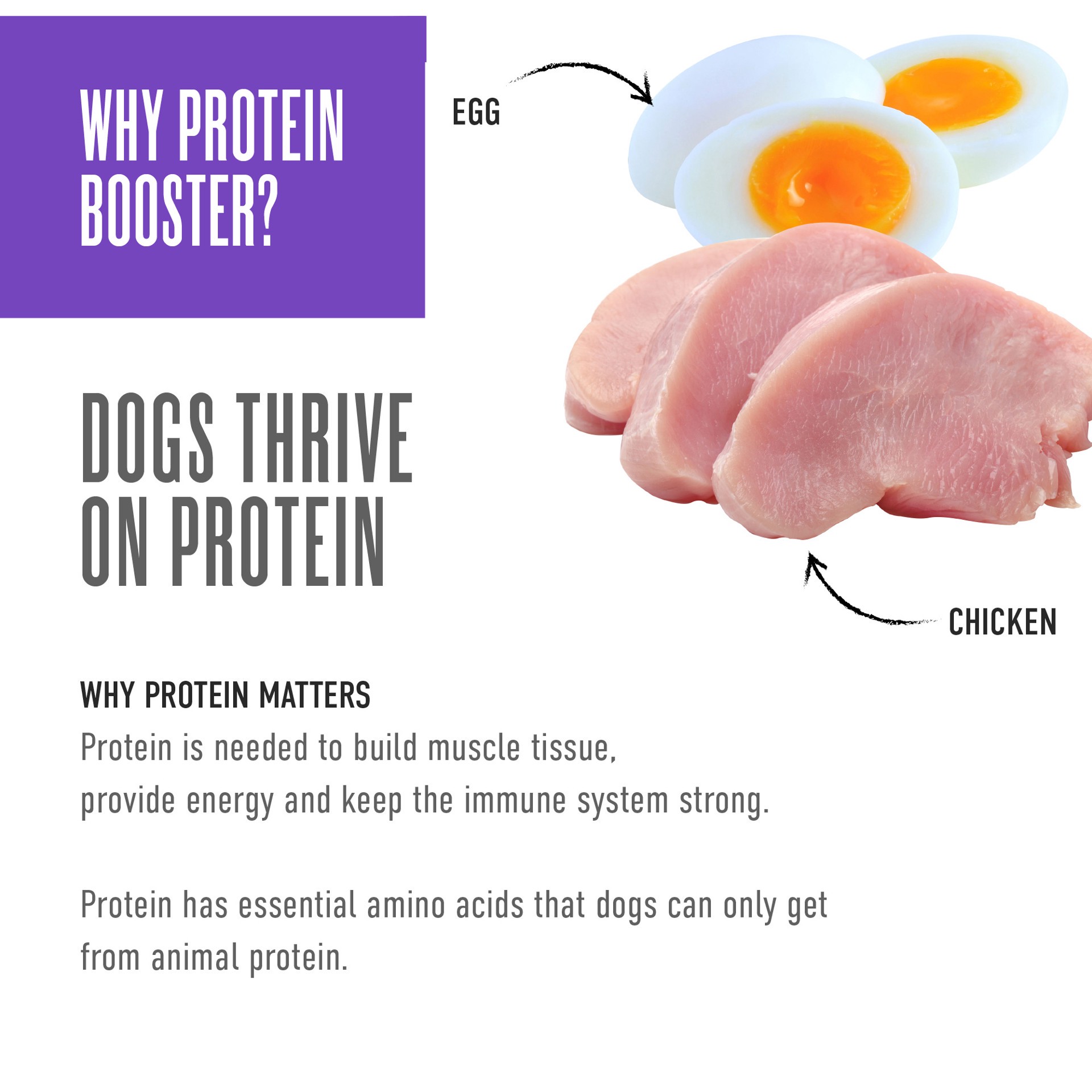 slide 2 of 7, Tiki Dog Born Carnivore Protein Booster Chicken and Egg Recipe in Broth Dog Food Topper, 2.1 oz., 1 ct