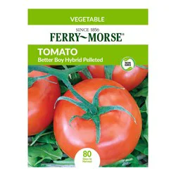 Tomato Better Boy Hybrid Heirloom