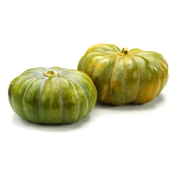 Tofutti Medium Warty Pumpkin