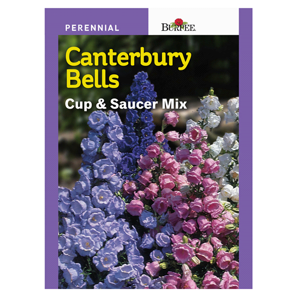 slide 1 of 1, Burpee Canterbury Bells Cut And Saucer Mix Seeds, 1 ct