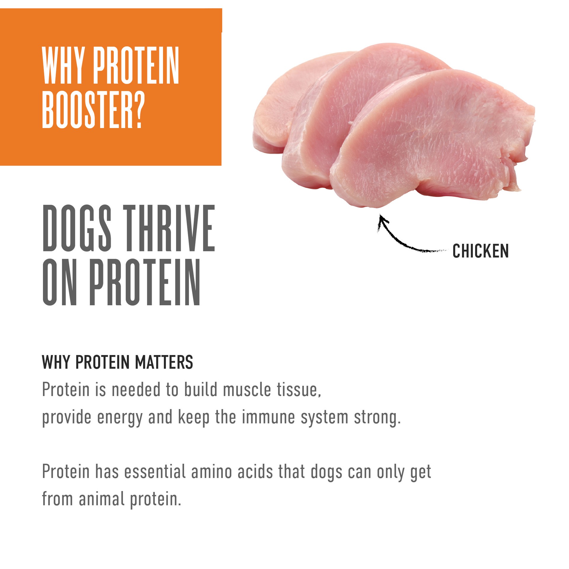 slide 7 of 7, Tiki Dog Born Carnivore Protein Booster Topper Chicken Recipe in Broth Dog Food Topper, 2.1 oz., 1 ct