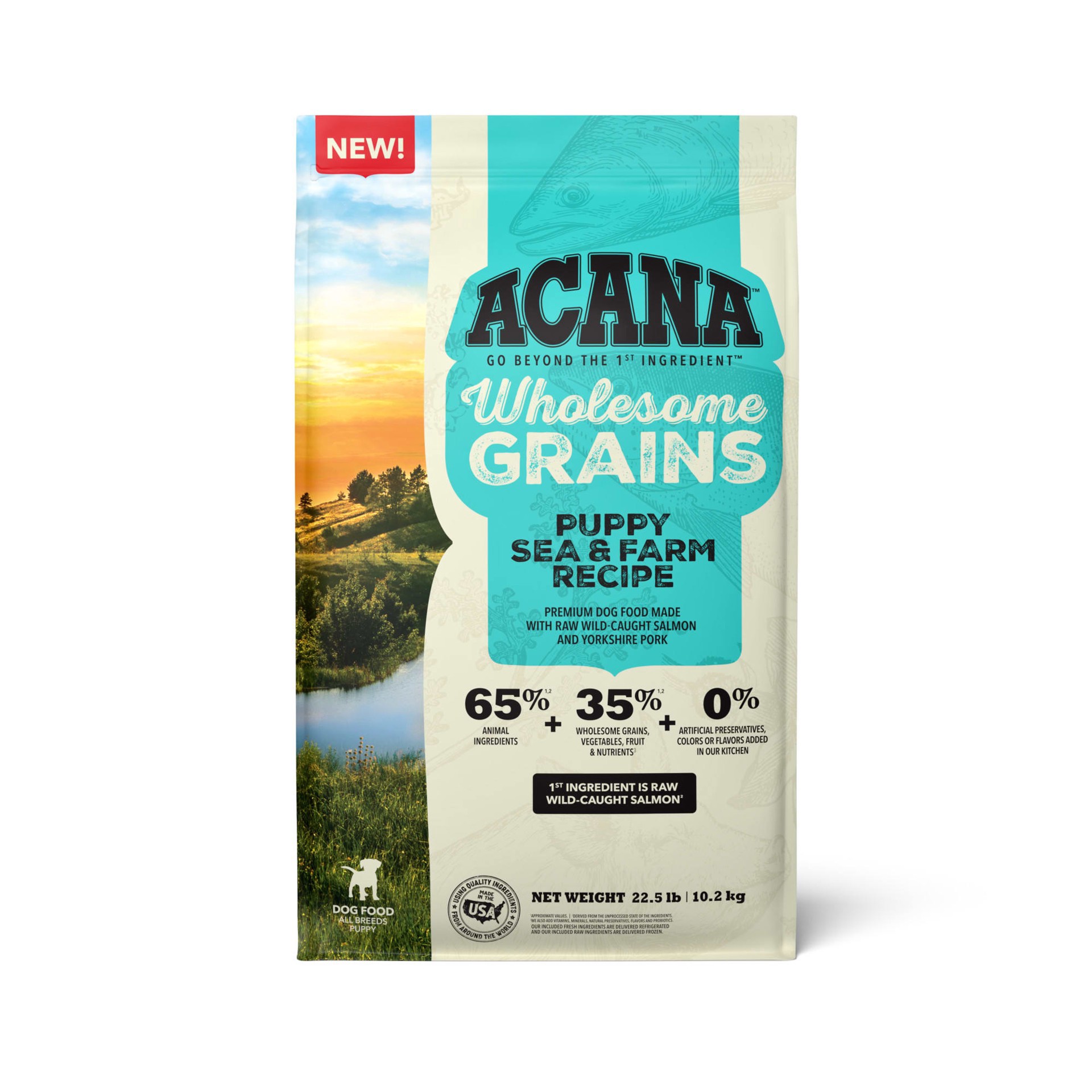 slide 1 of 1, ACANA Wholesome Grains Puppy Sea & Farm Recipe Dry Dog Food, 22.5 lb