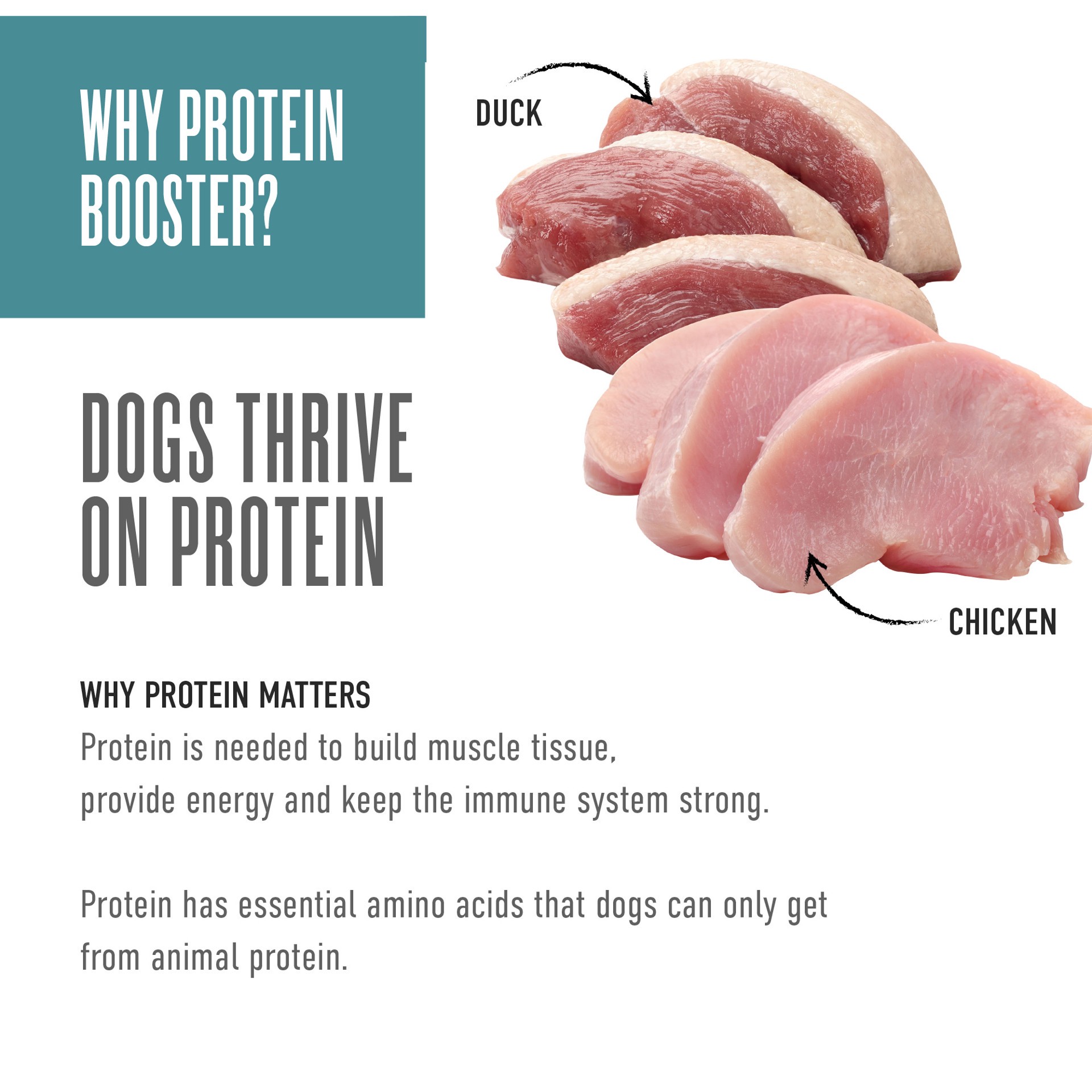 slide 5 of 7, Tiki Dog Born Carnivore Protein Booster Chicken and Duck Recipe in Broth Dog Food Topper, 2.1 oz., 1 ct