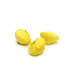 Melissa's Baby Yellow Sunburst Squash