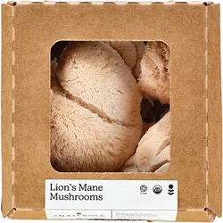 Smallhold Lion's Mane Organic Mushroom