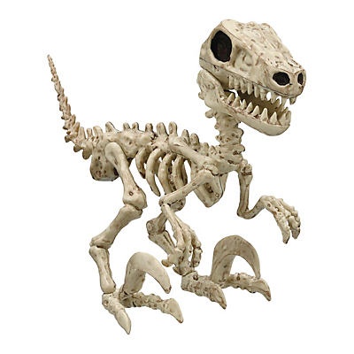 slide 1 of 1, Seasons Raptor Skeleton Halloween Décor, 1 ct