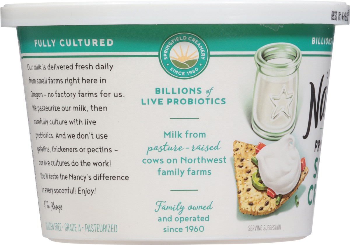slide 15 of 15, Nancy's Organic Probiotic Sour Cream 16 oz, 16 oz