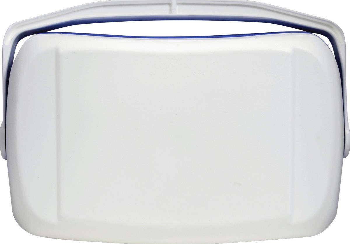 slide 4 of 4, Igloo Cooler 1 ea, 1 ct