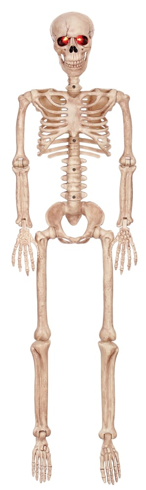 slide 1 of 1, Holiday Home Lighted Posable Skeleton - Cream, 36 in