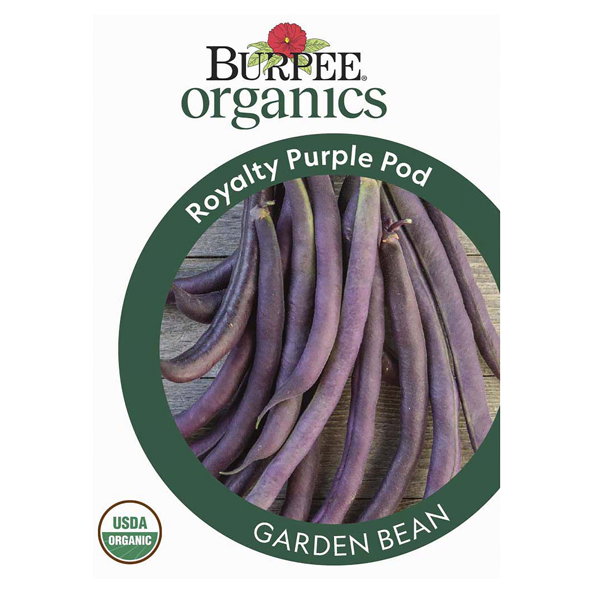 slide 1 of 5, Burpee Bean Royalty Purple Pod Seeds, 1 ct