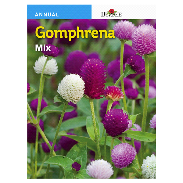 slide 1 of 1, Burpee Gomphrena Mix Seeds, 1 ct