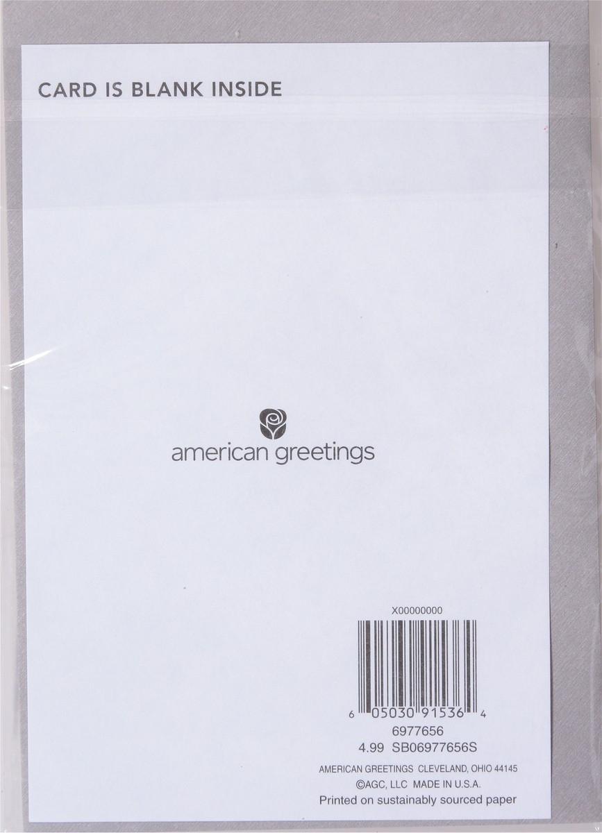 slide 4 of 9, American Greetings Greeting Card 1 ea, 1 ct