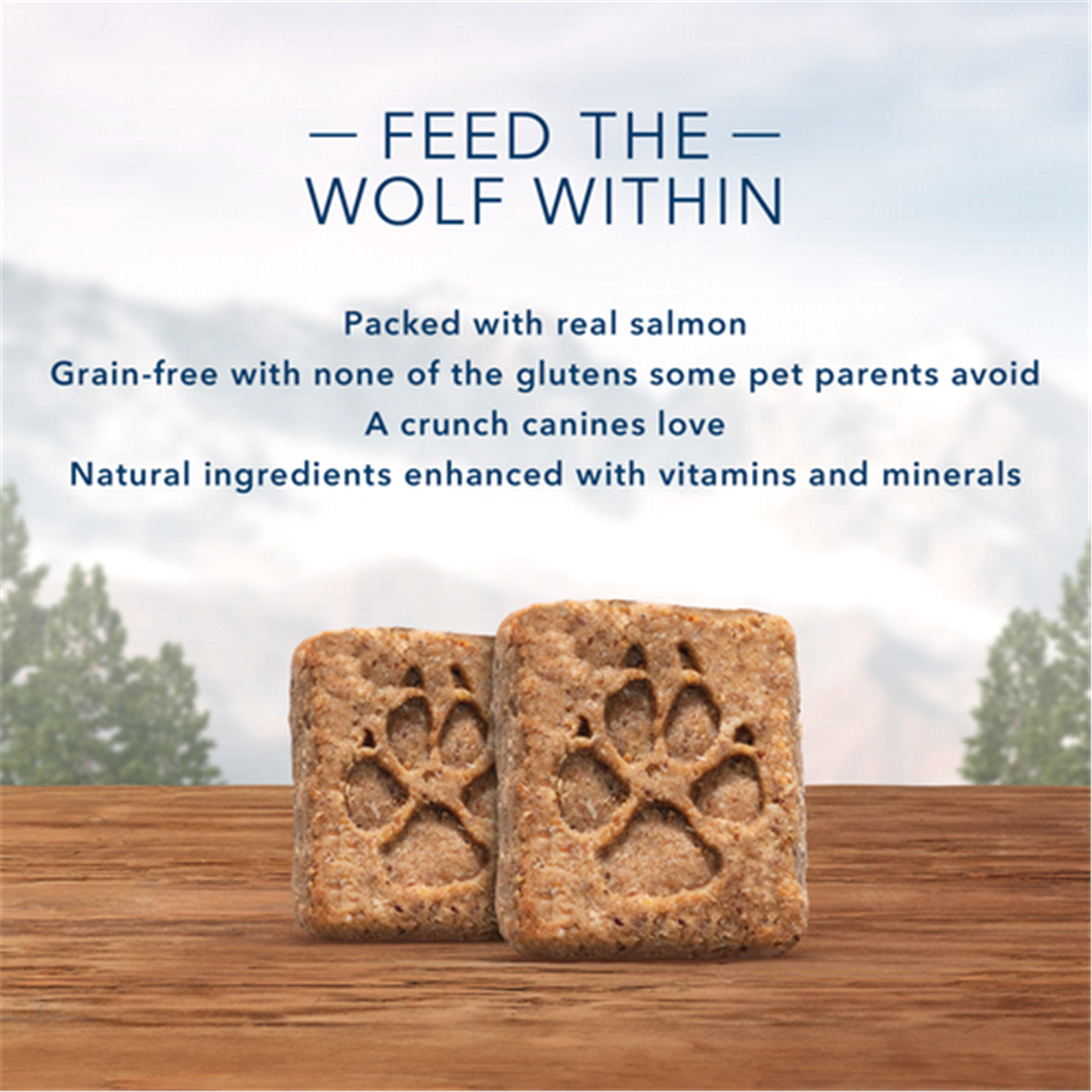 slide 6 of 17, Blue Buffalo Wilderness Trail Treats High Protein Grain Free Crunchy Dog Treats Biscuits, Salmon Recipe 10-oz Bag, 10 oz