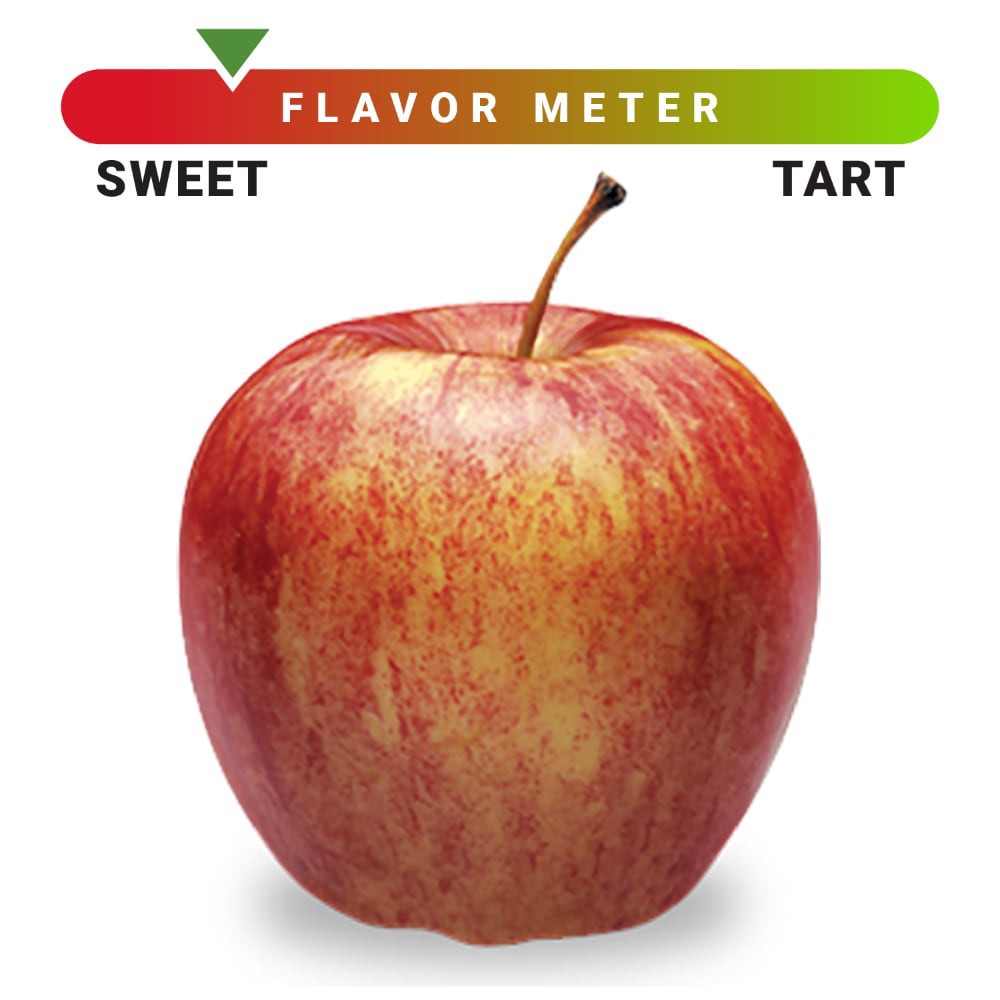 slide 2 of 2, Large Gala Apples, 1 ct