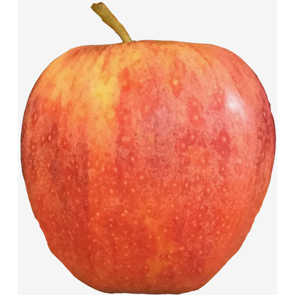 slide 1 of 2, Large Gala Apples, 1 ct