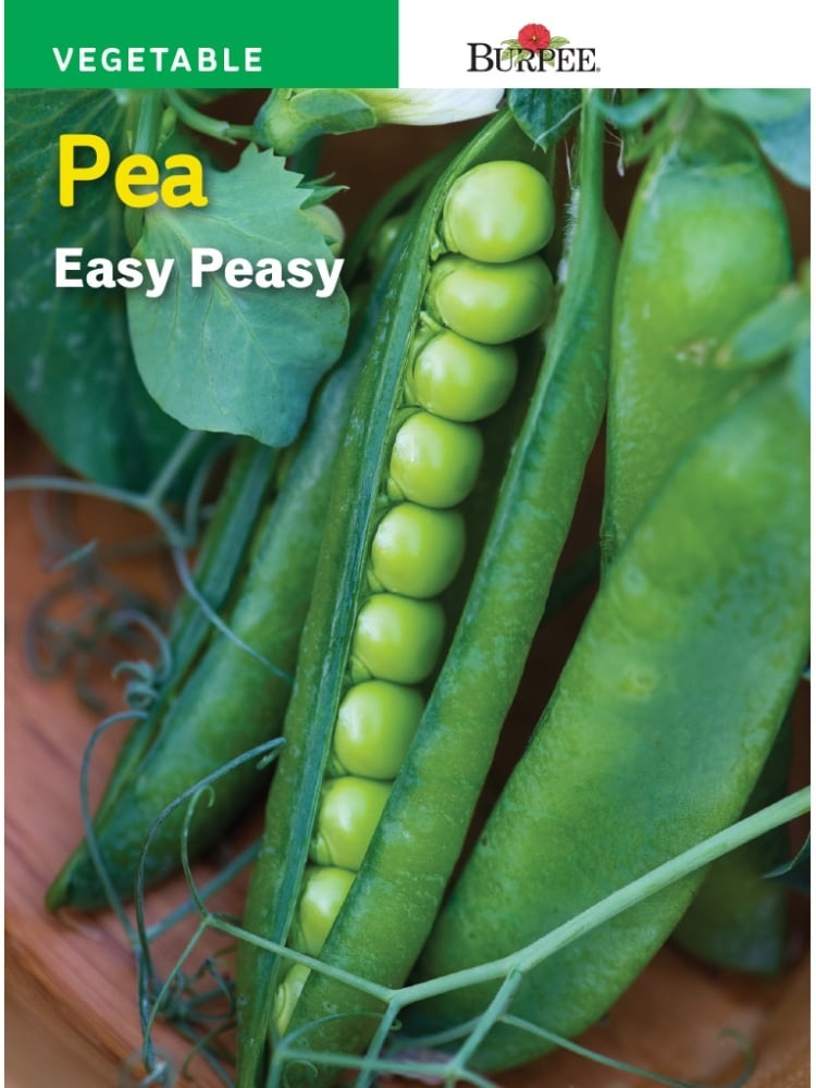 slide 1 of 1, Burpee Easy Peasy Pea Seeds - Green/Blue, 1 ct